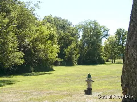 12 Sycamore Row, Springfield, IL 62702 photo 3