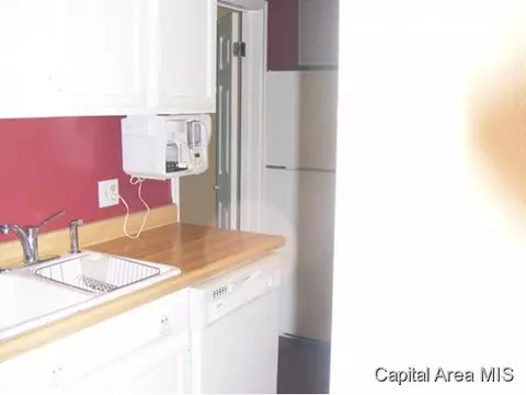 12 Sycamore Row, Springfield, IL 62702 photo 14