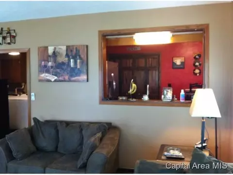 595 E Andrew Rd, Springfield, IL 62707 photo 19