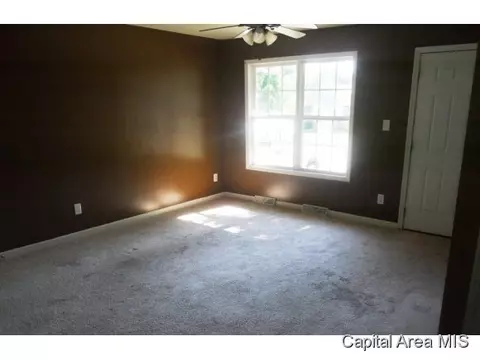 805 Diane, Springfield, IL 62702 photo 11