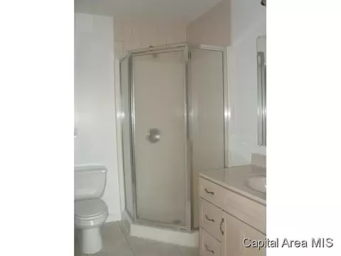 1029 Klor Rd, Buffalo, IL 62515 photo 12