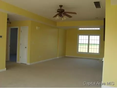 1029 Klor Rd, Buffalo, IL 62515 photo 8