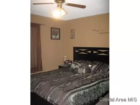 3229 Carman, Springfield, IL 62703 photo 7