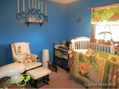 3229 Carman, Springfield, IL 62703 photo 9