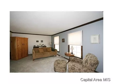 2717 Interlacken, Springfield, IL 62704 photo 9