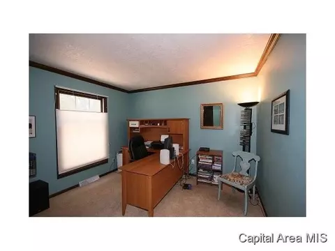 2717 Interlacken, Springfield, IL 62704 photo 19