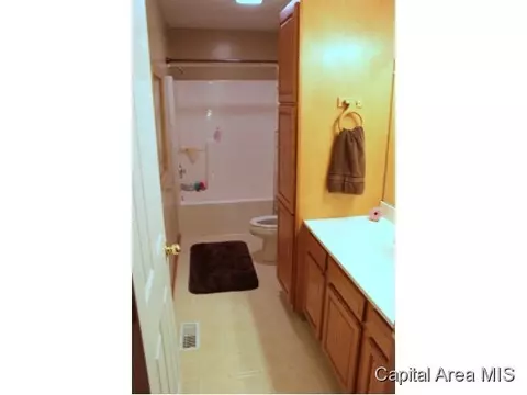 802 N Bitterroot, Athens, IL 62613 photo 10