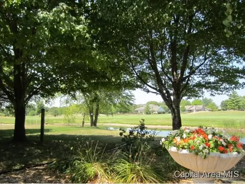 5201 Wildcat Run, Springfield, IL 62711 photo 22