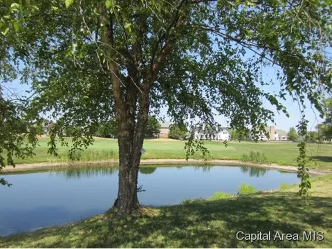 5201 Wildcat Run, Springfield, IL 62711 photo 24