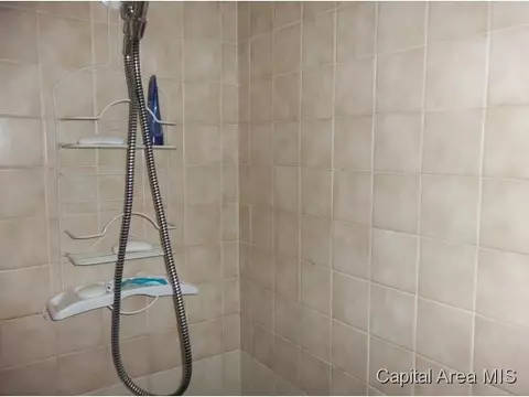 1504 E Stanford, Springfield, IL 62703 photo 15