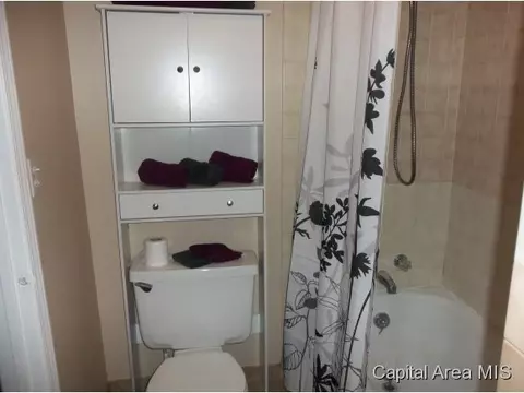 1504 E Stanford, Springfield, IL 62703 photo 13