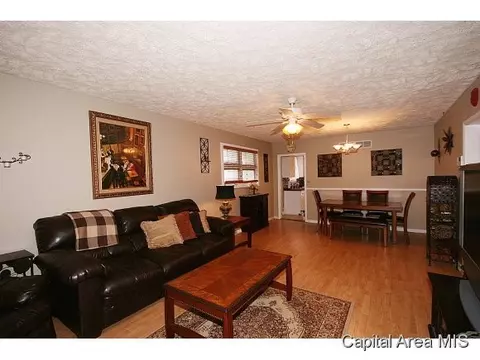 2029 Lowell, Springfield, IL 62704 photo 5