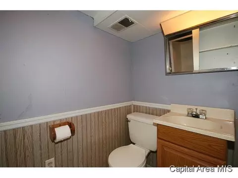 2029 Lowell, Springfield, IL 62704 photo 12