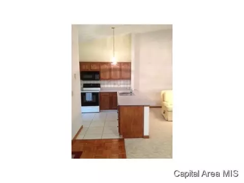 2402 Checkerberry Ln, Springfield, IL 62711 photo 4