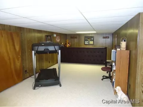112 Vicar, Spaulding, IL 62561 photo 19