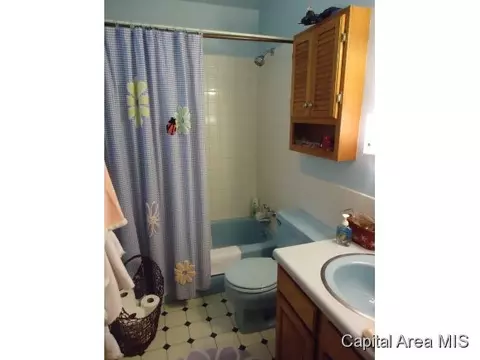 112 Vicar, Spaulding, IL 62561 photo 13