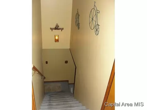 100 Walnut Valley Dr, Springfield, IL 62707 photo 18
