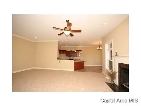 5528 Legacy Ln, Springfield, IL 62711 photo 5