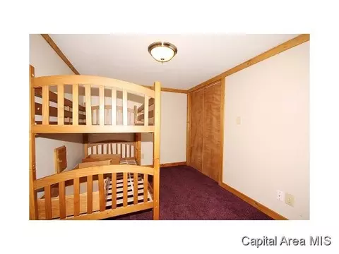 824 Independence Rdg, Springfield, IL 62702 photo 23