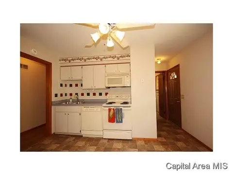 824 Independence Rdg, Springfield, IL 62702 photo 9