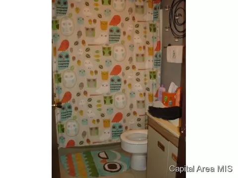 16073 E View Dr, Girard, IL 62640 photo 14
