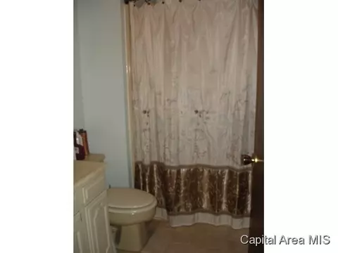 16073 E View Dr, Girard, IL 62640 photo 16