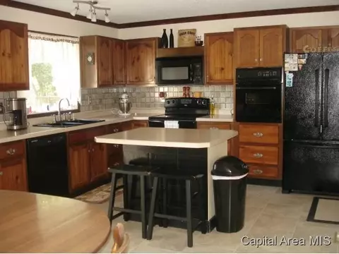 16073 E View Dr, Girard, IL 62640 photo 10