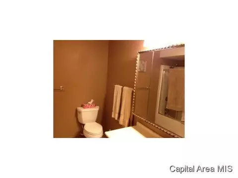 6723 N State Route 29, Springfield, IL 62707 photo 6