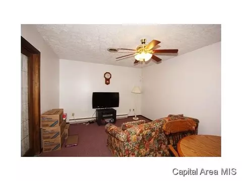 2728 Cardigan, Springfield, IL 62702 photo 19