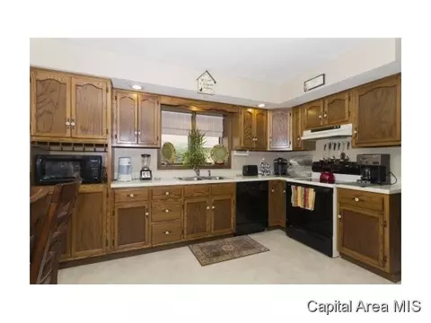 1101 Paddock Ln, Springfield, IL 62712 photo 5