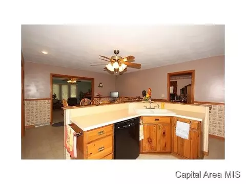 42 Holliday, Springfield, IL 62702 photo 3