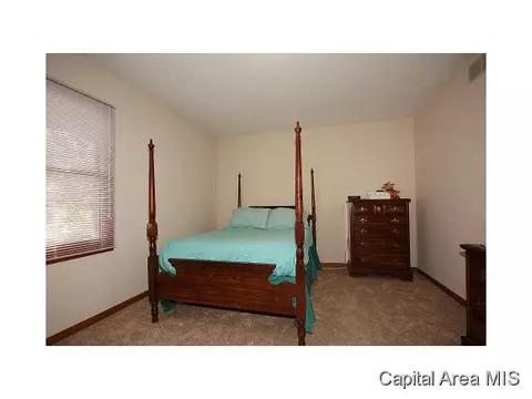 4305 Deming Dr, Springfield, IL 62703 photo 20