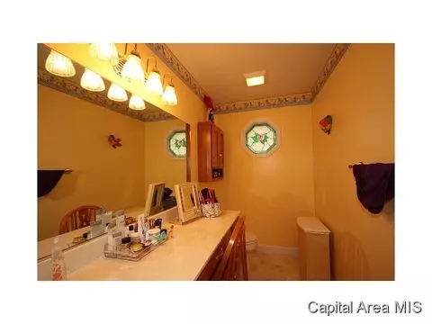 5317 Bunting, Springfield, IL 62711 photo 13