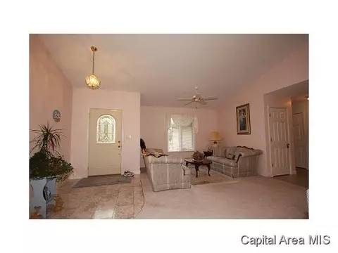 5317 Bunting, Springfield, IL 62711 photo 19