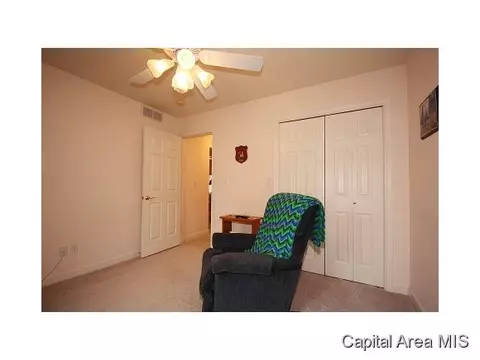 5317 Bunting, Springfield, IL 62711 photo 17
