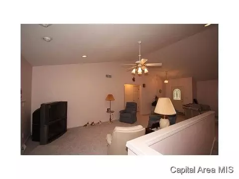 5317 Bunting, Springfield, IL 62711 photo 18