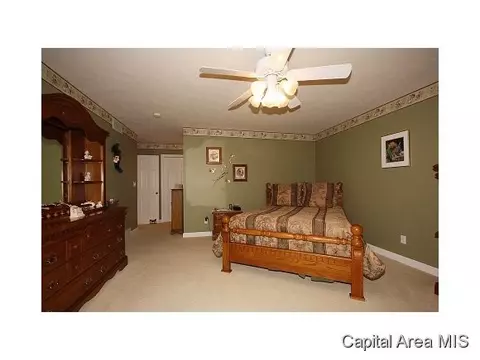5317 Bunting, Springfield, IL 62711 photo 11