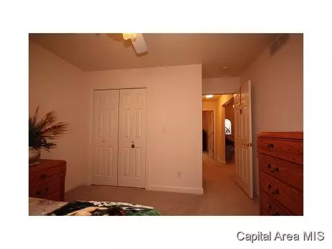 5317 Bunting, Springfield, IL 62711 photo 16