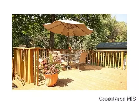 122 Dawn, Springfield, IL 62702 photo 23