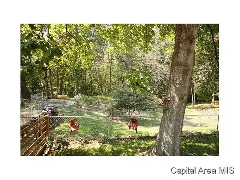 122 Dawn, Springfield, IL 62702 photo 24