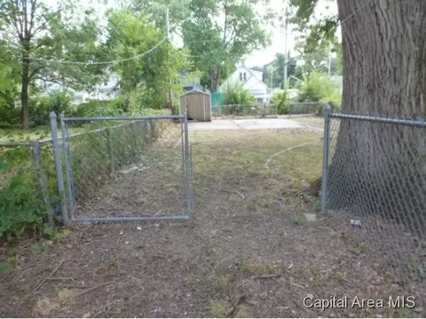 1126 E Cedar, Springfield, IL 62703 photo 4