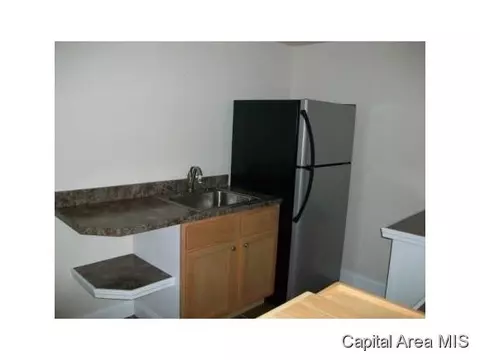 1901 Appleton, Springfield, IL 62711 photo 6