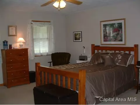 11382 Timber View Ln, Athens, IL 62613 photo 6