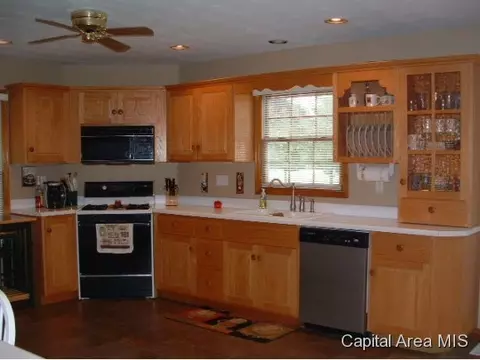 11382 Timber View Ln, Athens, IL 62613 photo 13
