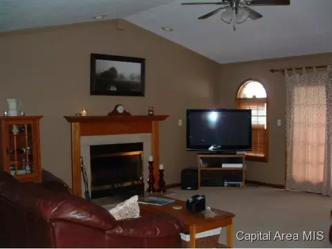11382 Timber View Ln, Athens, IL 62613 photo 2
