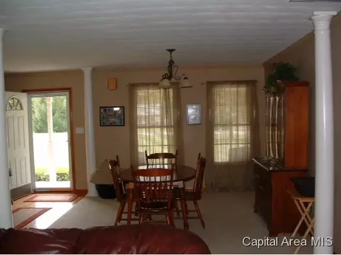 11382 Timber View Ln, Athens, IL 62613 photo 5