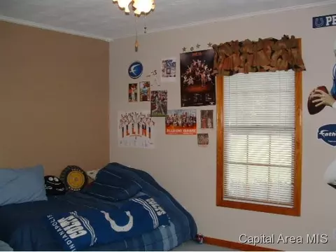 11382 Timber View Ln, Athens, IL 62613 photo 10
