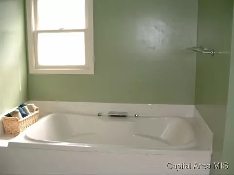 11382 Timber View Ln, Athens, IL 62613 photo 9