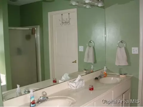 11382 Timber View Ln, Athens, IL 62613 photo 8