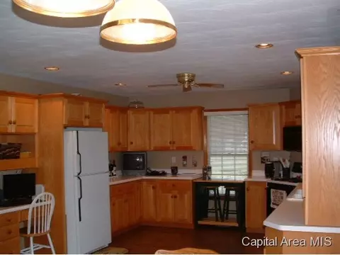 11382 Timber View Ln, Athens, IL 62613 photo 14